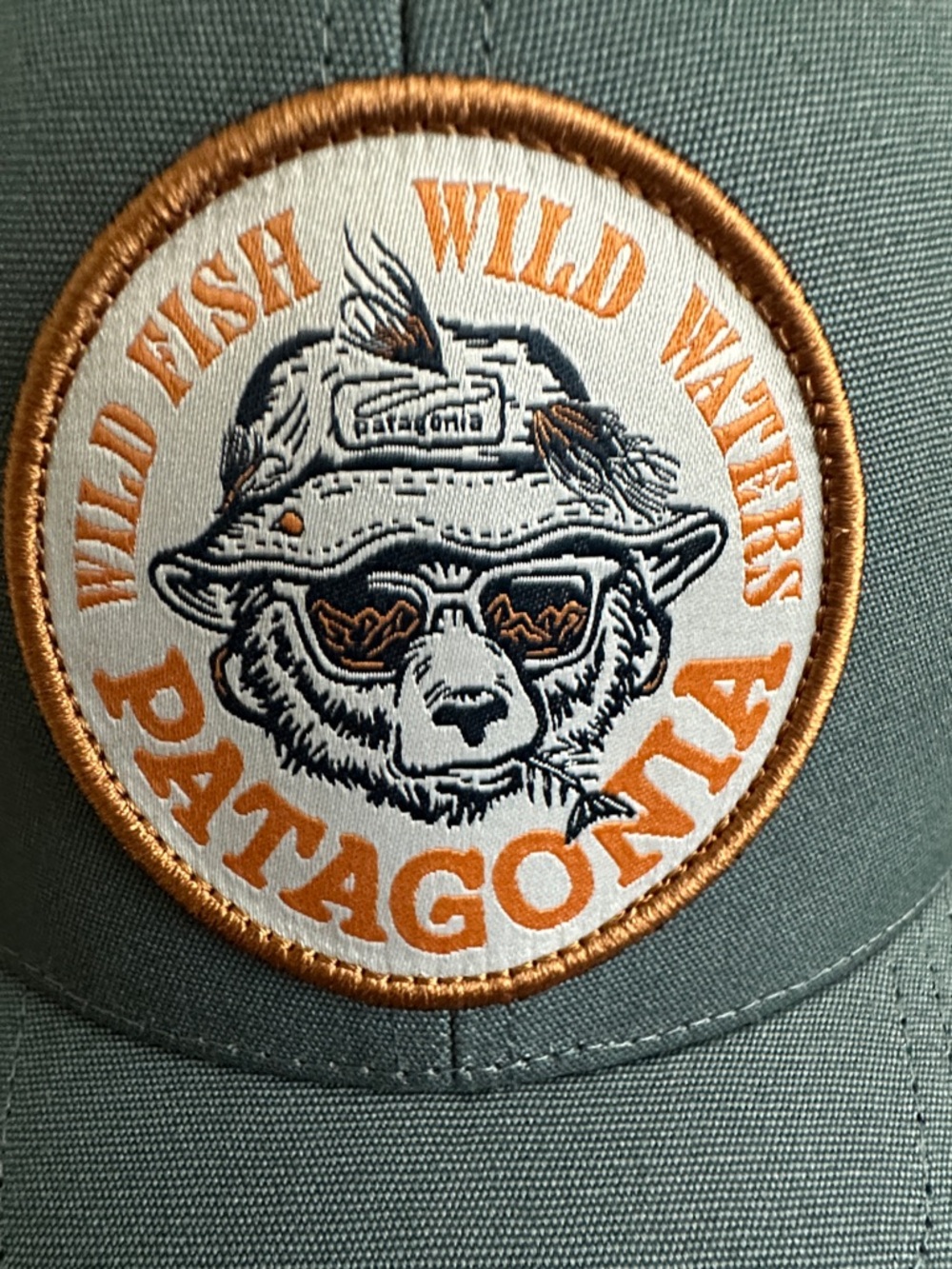 Patagonia Trucker Hat NWT